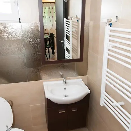 Πανσιόν Pensiunea Corina Boutique