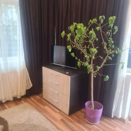 Pensiunea Corina Boutique Πανσιόν 3*