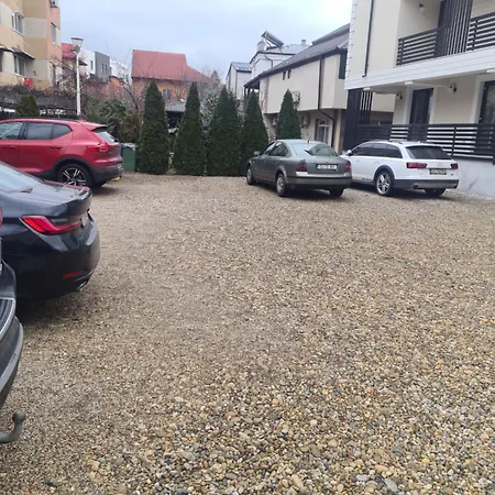 Pensiunea Corina Boutique Πανσιόν Κραϊόβα