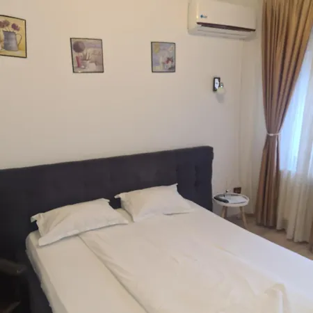 Pensiunea Corina Boutique Πανσιόν Κραϊόβα