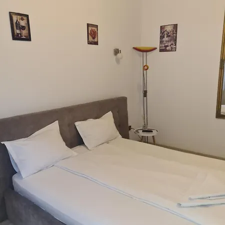 Pensiunea Corina Boutique Κραϊόβα