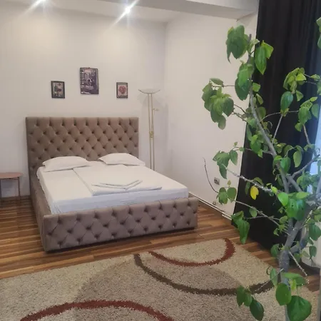 Pensiunea Corina Boutique 3* Κραϊόβα