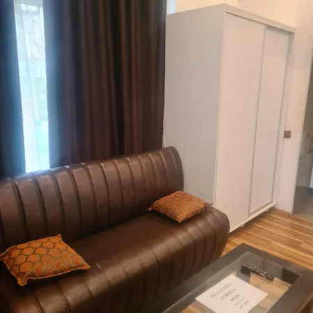 Πανσιόν Pensiunea Corina Boutique 3*