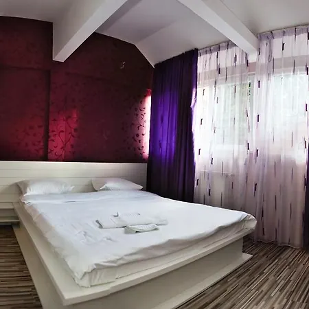 Pensiunea Corina Boutique 3*