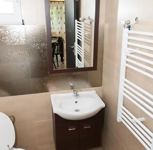 ゲストハウス Pensiunea Corina Boutique