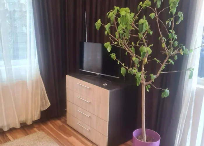 Pensiunea Corina Boutique Penzion 3*