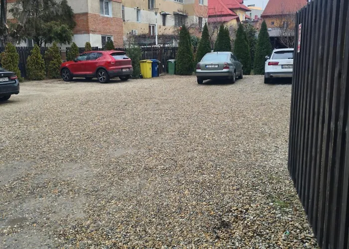 ゲストハウス Pensiunea Corina Boutique 3*