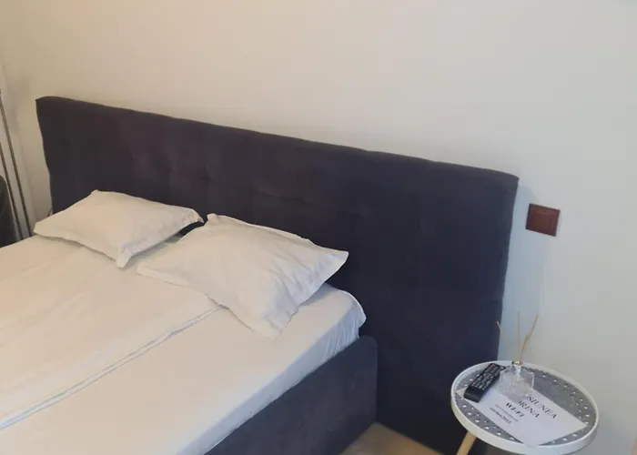 Pensiunea Corina Boutique بيت ضيافة