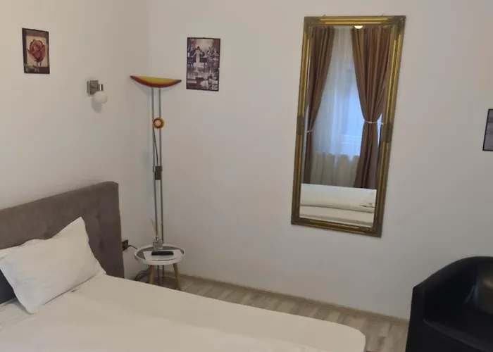 ゲストハウス Pensiunea Corina Boutique