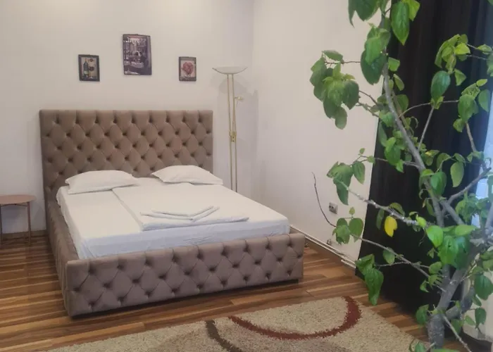 Pensiunea Corina Boutique 3* クラヨーヴァ