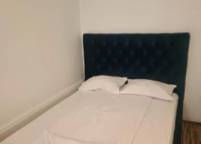 Pensiunea Corina Boutique ゲストハウス 3*