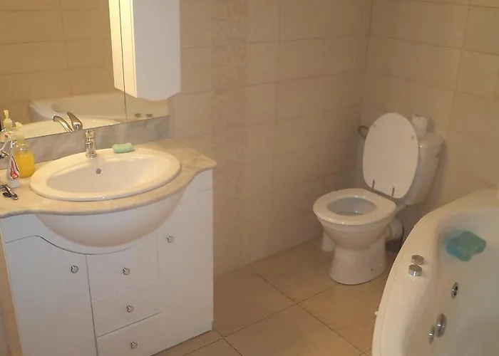 ゲストハウス Pensiunea Corina Boutique